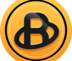bridgecoin.pro