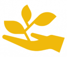 bsc.farm