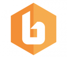 bhigtoken.com