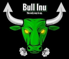 bullinu.co