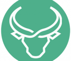 nftbull.run