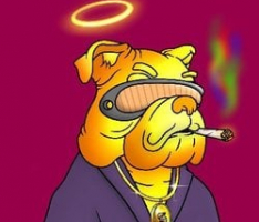 bulldogbillionaires.club