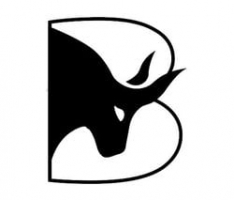 bulleon.io