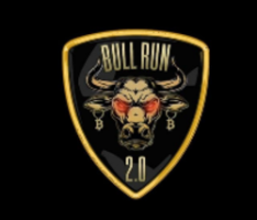 bullrun2-0.com
