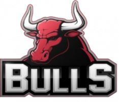 bulls-crypto.com