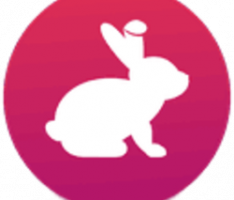 bunnytoken.com