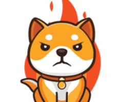 burndoge.finance