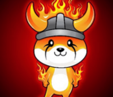burnfloki.com
