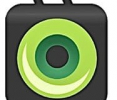 buzzshow.com
