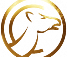 camelcoin.io