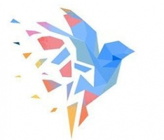 canaryx.xyz