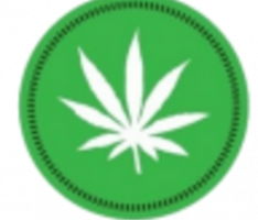 cannabisseedtoken.io