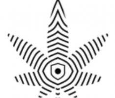 cannumo.io