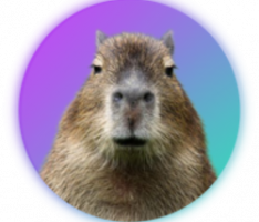capybaraworld.com
