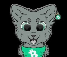 cashcats.org
