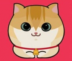 catcattoken.com