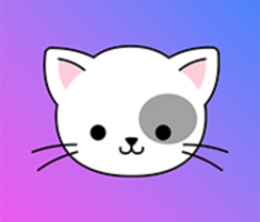 catcoin.com