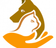 cateshiba.com