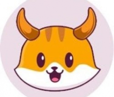 catemooninu.com