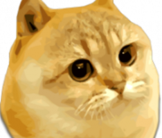 catgecoin.com