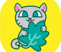 catnip.world