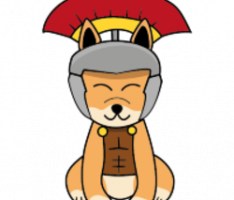 centurioninu.com