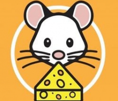 cheddatoken.com