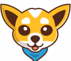 chihuatoken.com