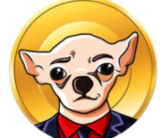chihuahua.army
