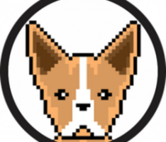 chihuahuasol.com