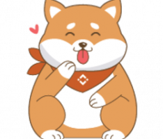 chubbydogetoken.com