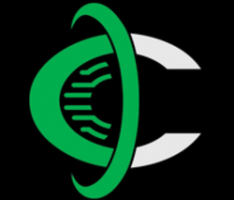 cleancarbon.io