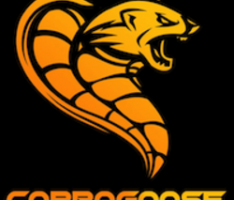 cobragoose.io