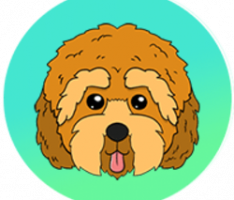 cockapoo.org