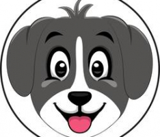 collieinu.net