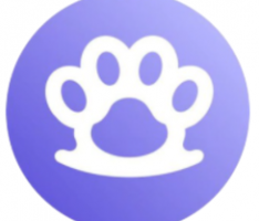 bsc.copuppy.io