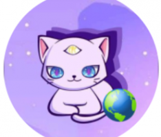 copycat.finance