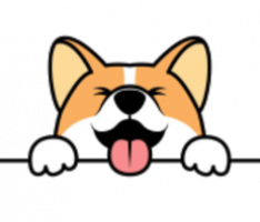 corgidoge.com