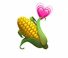 icorn.finance