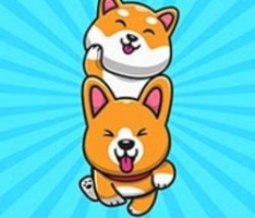 corgishiba.dog
