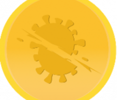 covidslice.io