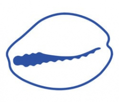 moneycowry.com