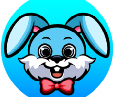 crazybunny.io