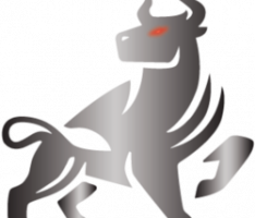 cryptobullstoken.io