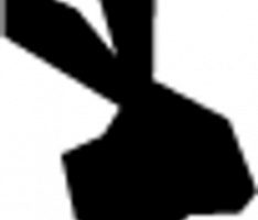 cryptokki.com