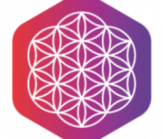 csrnow.com