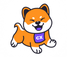 cxcoin.net