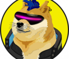 cyberdogetoken.com