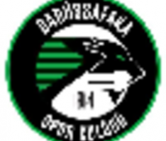 darussafakabasketbol.com