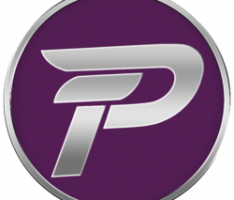 dashplatinum.org